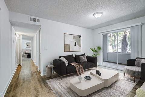 Chelsea Apartments in Gainesville Florida photo of living room with natural light