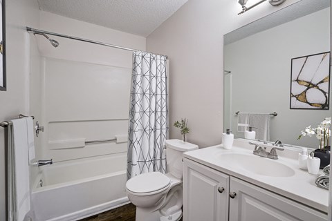 Chelsea Apartments in Gainesville Florida photo of upgraded bathroom