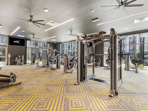 A gym with a variety of equipment including treadmills, weights, and a ceiling fan.