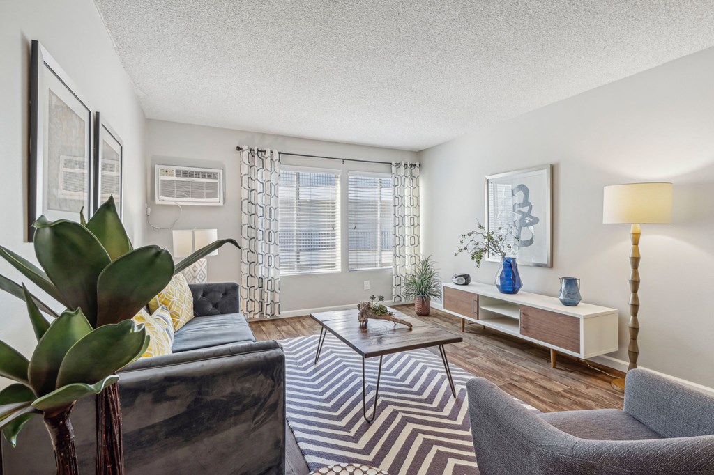 A living room with a grey couch, a coffee table, and a striped rug.
