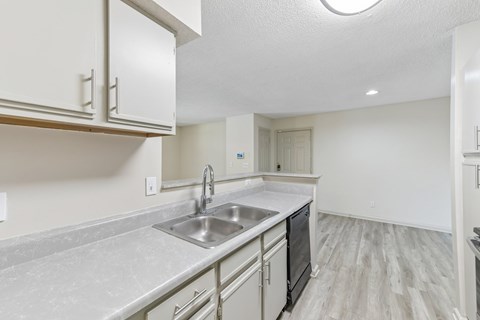 A kitchen with a sink, stove, and cabinets.