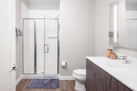 glass shower doors and quartz bathroom counters