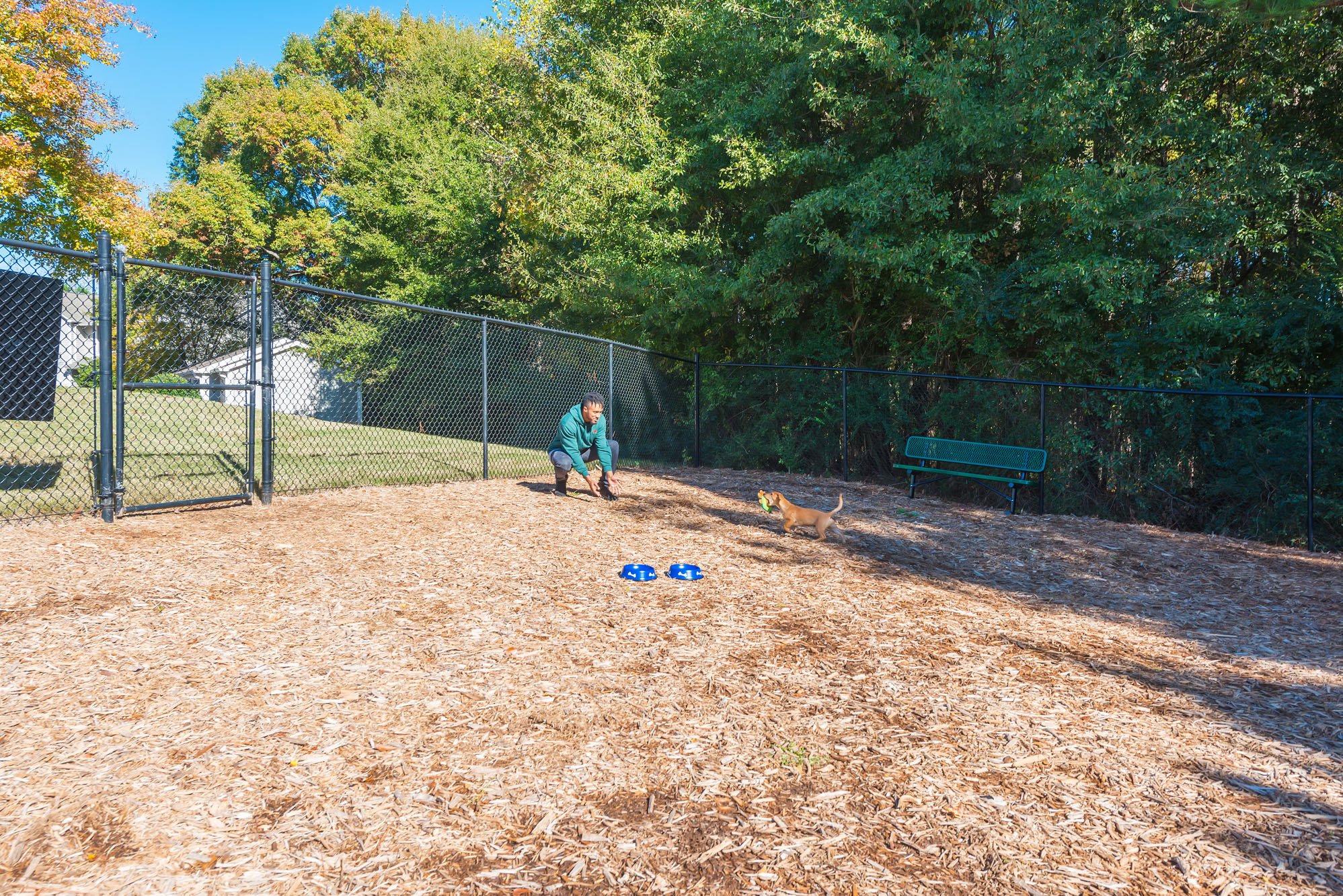 Leash Free Dog Park at Echelon Park, McDonough