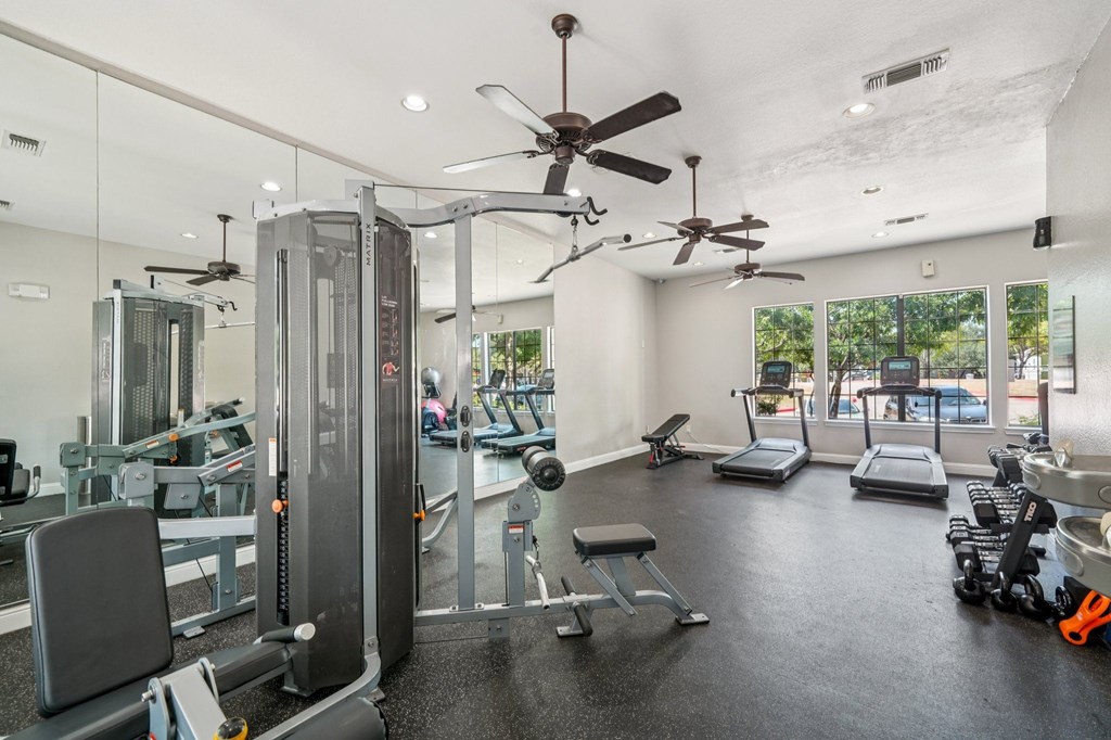 A gym with a variety of equipment including treadmills, weights, and a squat rack.