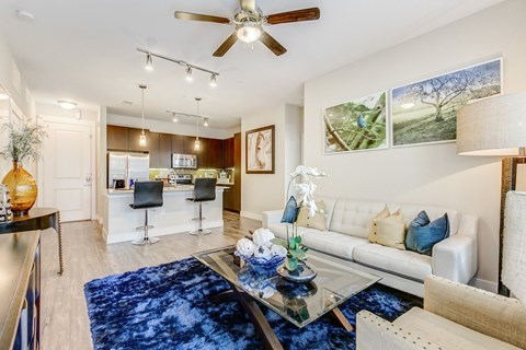 A living room with a white couch and a blue rug.