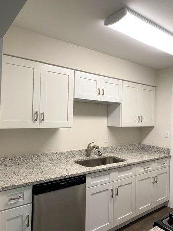 Renovated Kitchen - Photo Gallery 3