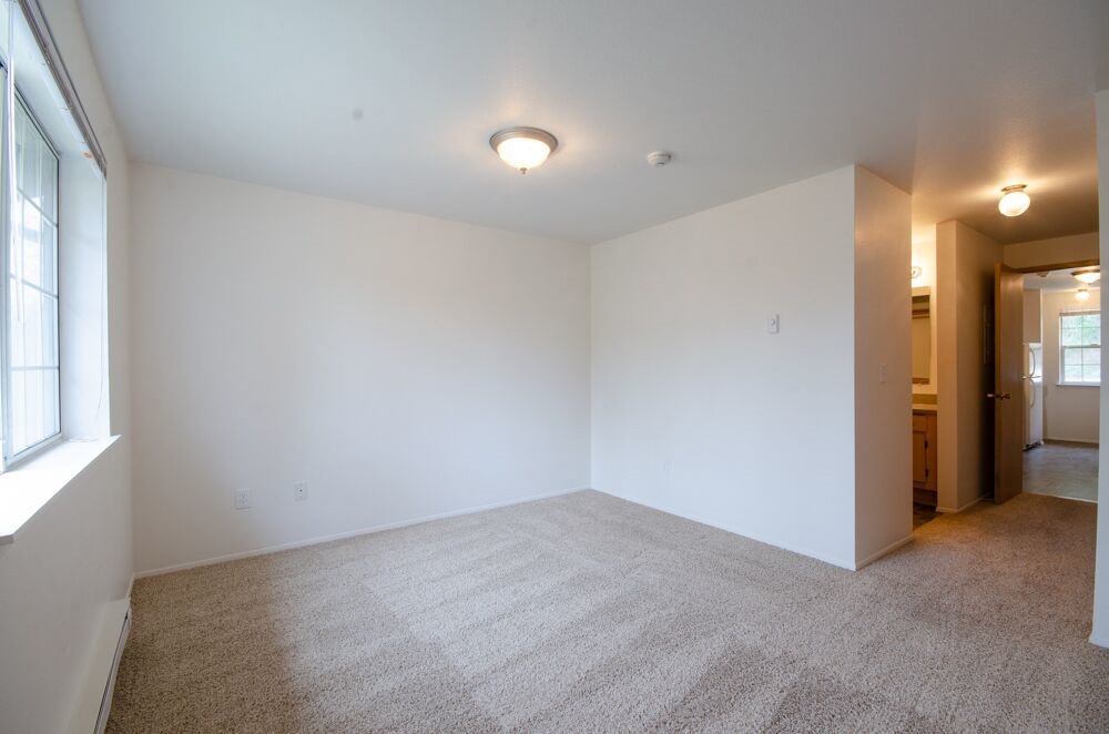 bedroom with carpet