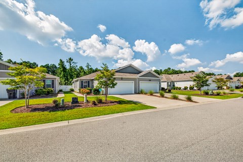 A residential area with houses and trees.