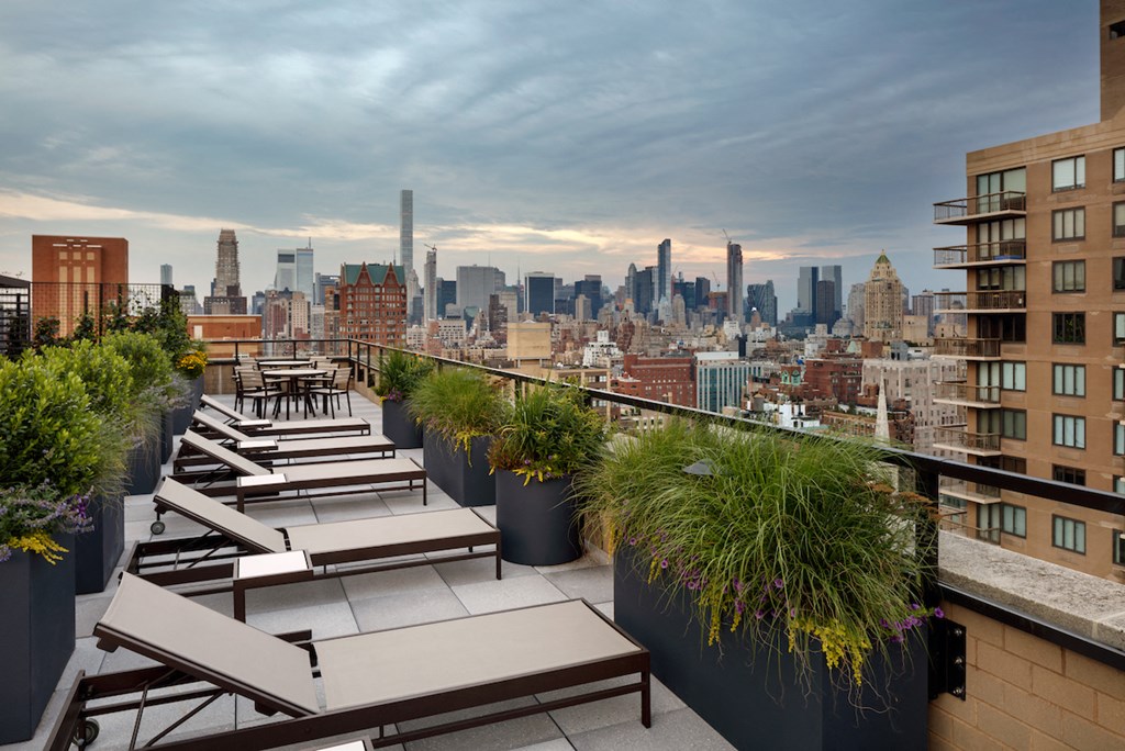 a roof deck with benches and potted plants and a view of the city