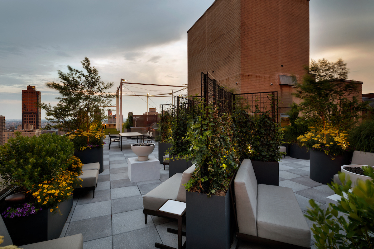 a rooftop terrace with couches and plants and a city in the background