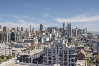 830 Eddy Street Studio-3 Beds Apartment for Rent - Photo Gallery 2