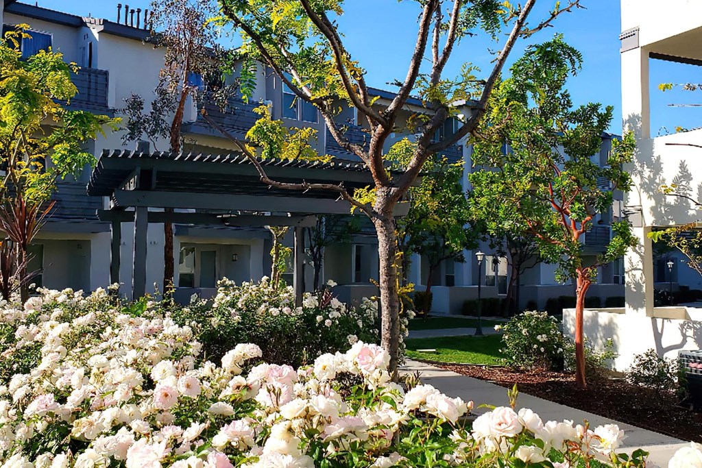 a garden with white flowers and trees in front of a building