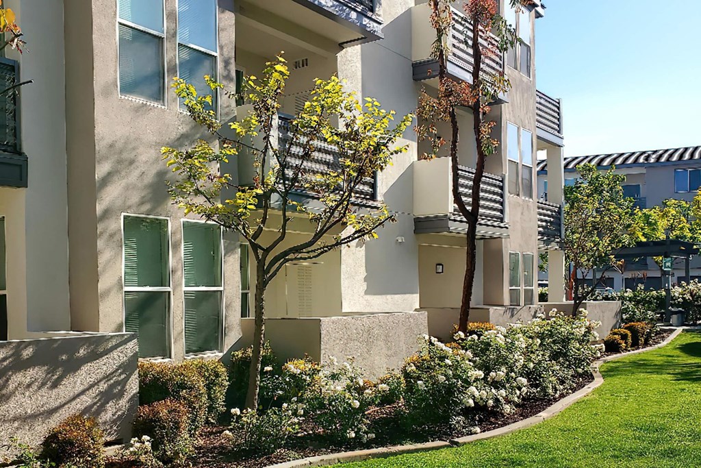 a picture of an apartment building with trees and flowers in front of it
