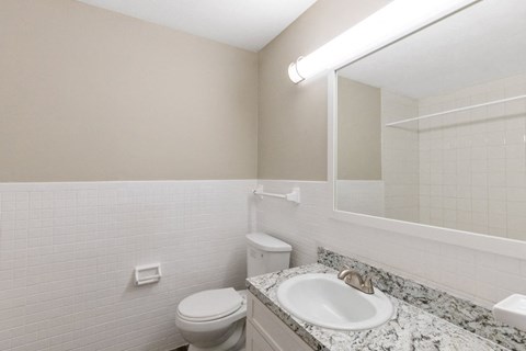 a bathroom with a sink toilet and a mirror