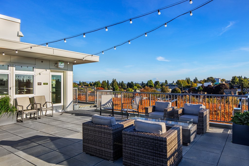rooftop deck with lounge chairs and view