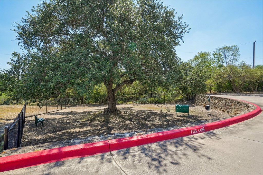 A tree in a park with a red tape that says "FIRE LINE".
