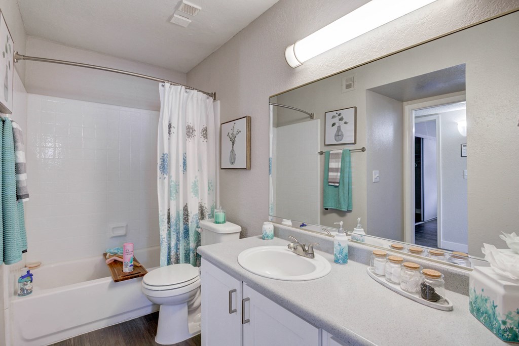 a bathroom with a large mirror and a sink and a toilet