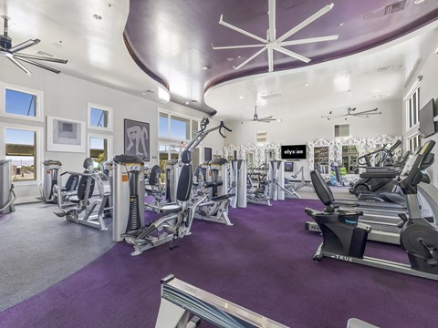 A gym with purple carpeting and a variety of exercise equipment.