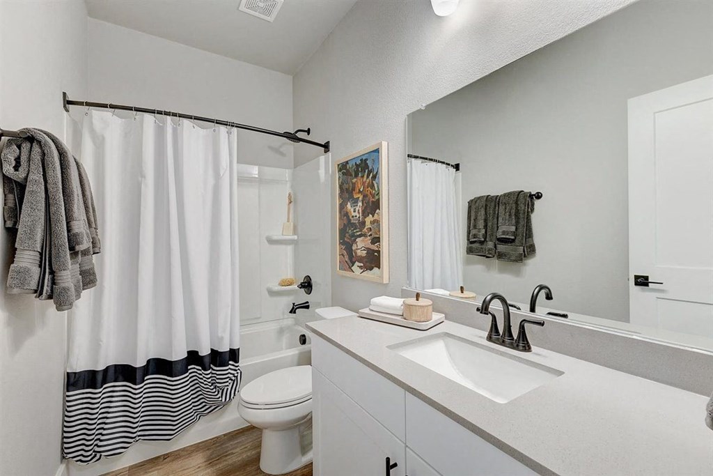 a bathroom with a sink and a toilet