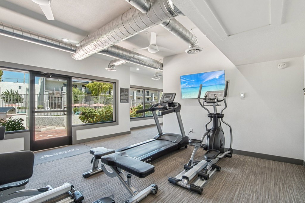 A gym with treadmills, elliptical machines, and a flat screen TV.