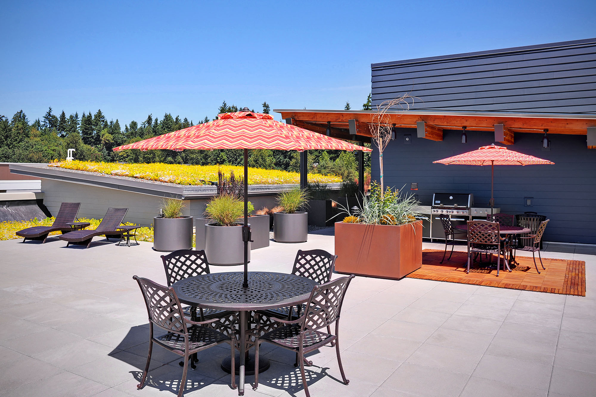 Rooftop Patio with BBQ