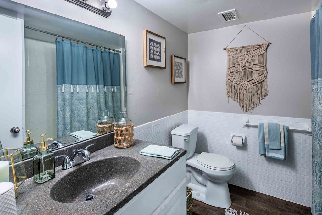 Grand Arbor Reserve Apartments in Raleigh, NC photo of a bathroom with a sink and a toilet