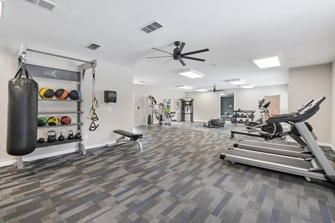 A gym with a punching bag, weights, and exercise equipment.