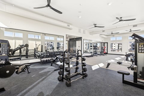 Pet-Friendly luxury apartments in Henderson NV - Parq on Boulder - Gym with Ceiling Fans, Weights, Machines, Large Windows, and Mirrors