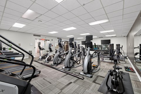 Fitness center with ellipticals, treadmill, stair climber, weight machines, dumbbell rack, wall mirrors, and flat-screen TV