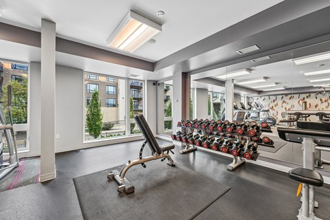 A gym with a row of exercise bikes and a bench.