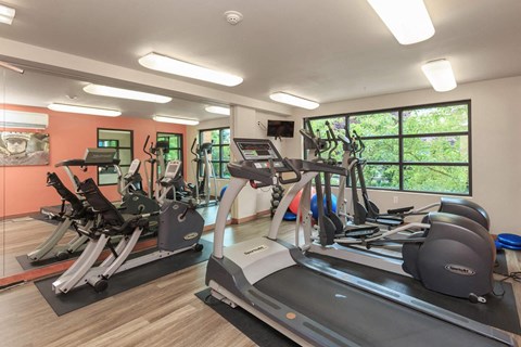 A gym with treadmills, elliptical machines, and other exercise equipment.