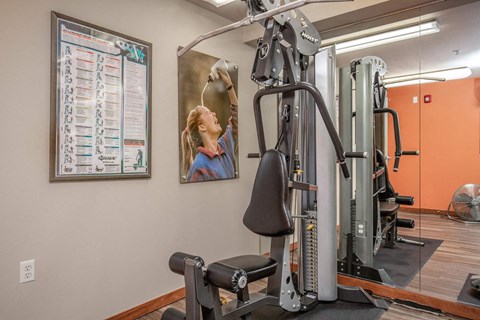 A woman is working out on a gym machine.