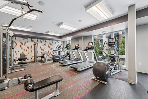 A gym with a variety of equipment including treadmills, weights, and exercise machines.