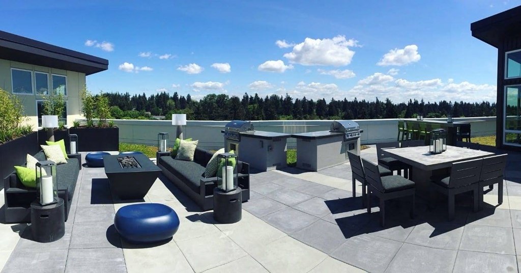 Rooftop patio with incredible views, fire-pit, barbecue grills, and lounge seating