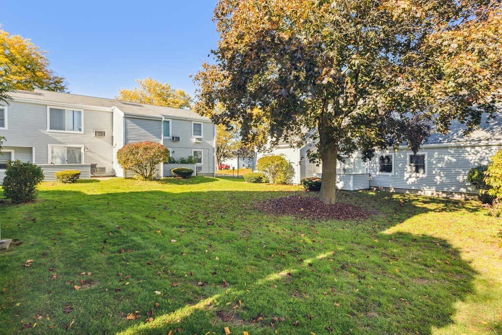 a backyard with a tree in front of two houses