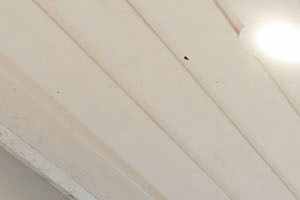 updated clubhouse - Photo Gallery 3