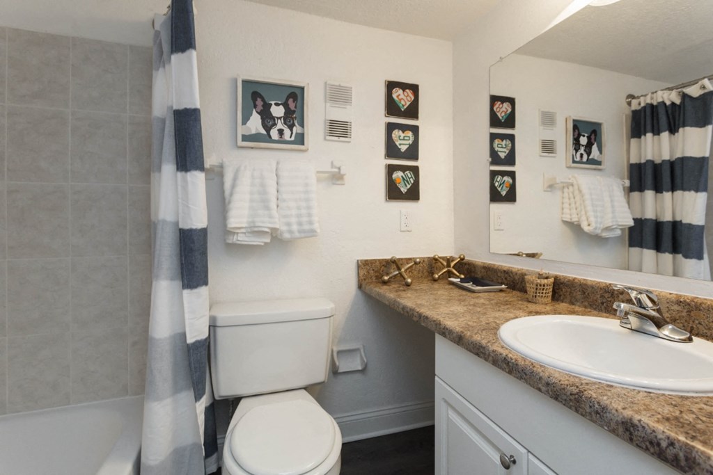 Belara Lakes Apartments in Tampa Florida photo of bathroom