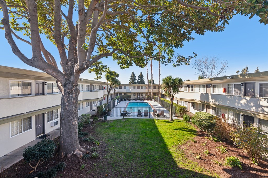 A tree in front of apartment buildings with a pool in the back.