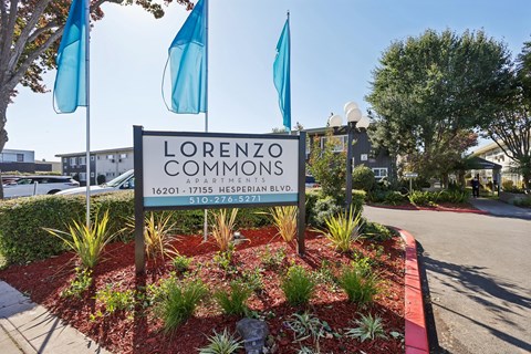 San Lorenzo, CA, Apartments - Lorenzo Commons - Community Entrance Sign With Blue Flags, Landscaped Planting Beds, Driveway, And Apartment Buildings Under Clear Sky
