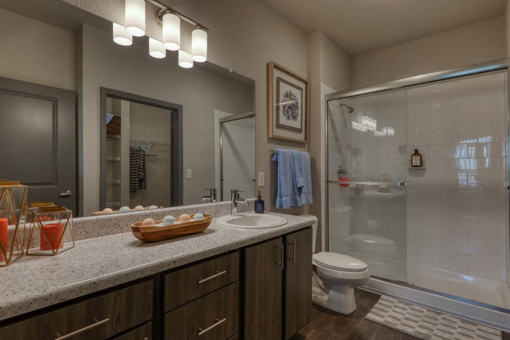 The Ridley apartments in Jacksonville, FL photo of bathroom