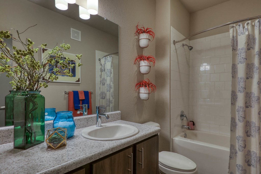 The Ridley apartments in Jacksonville, FL photo of bathroom