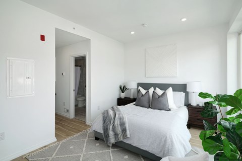 A bedroom with a bed, pillows, and a plant.