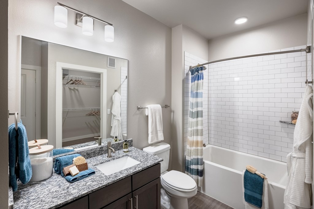 a bathroom with a shower toilet and sink and a mirror