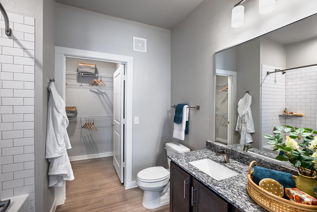a bathroom with a sink and a toilet and a shower