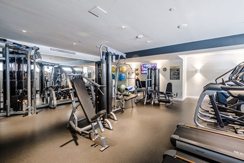 a gym with cardio equipment and weights on the floor