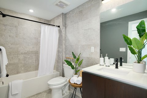 A bathroom with a white toilet, a sink, and a plant.
