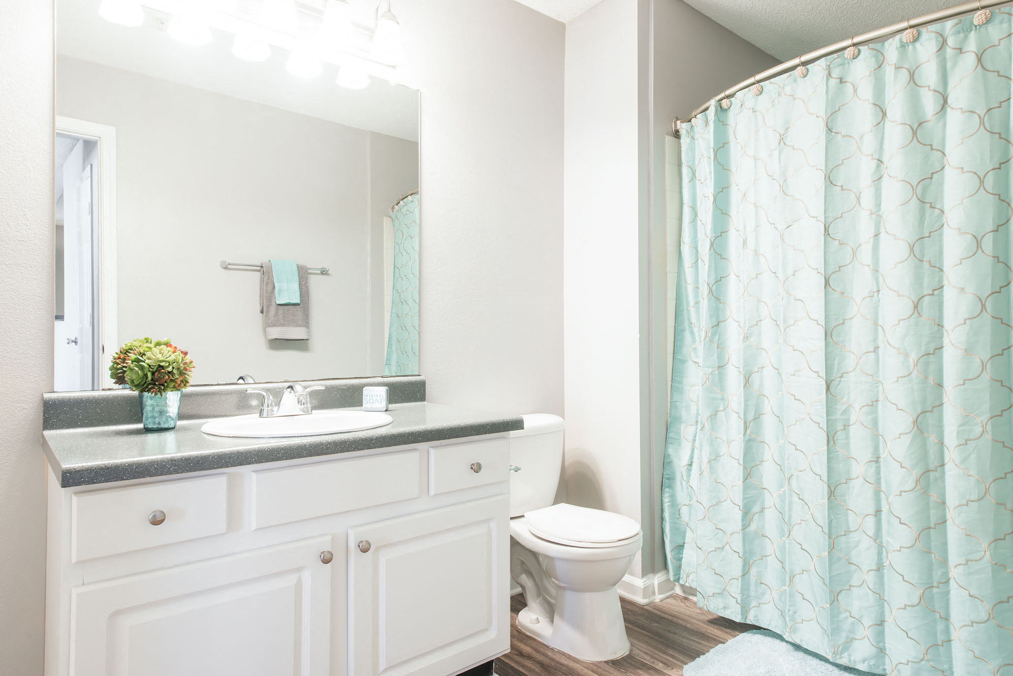 Updated Bathroom at Echelon Park, Georgia