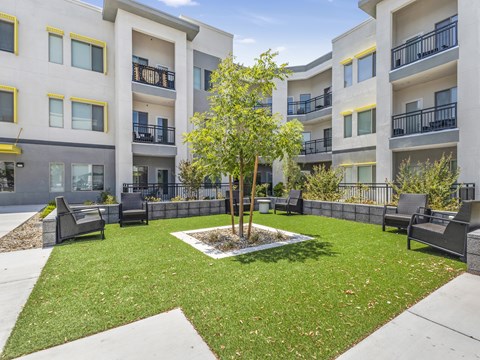 A tree in a courtyard surrounded by benches and buildings.