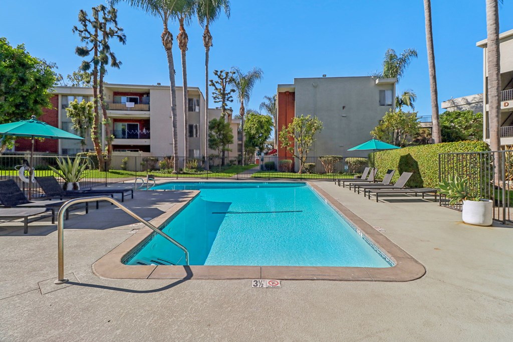 A swimming pool surrounded by palm trees and lounge chairs.