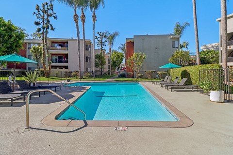 Apartments for Rent Downey, CA - Park Regency Club Apartments - A Swimming Pool With Pool Deck Lounge Chairs, Shade Umbrellas, Palm Trees, And Surrounding Apartment Buildings.